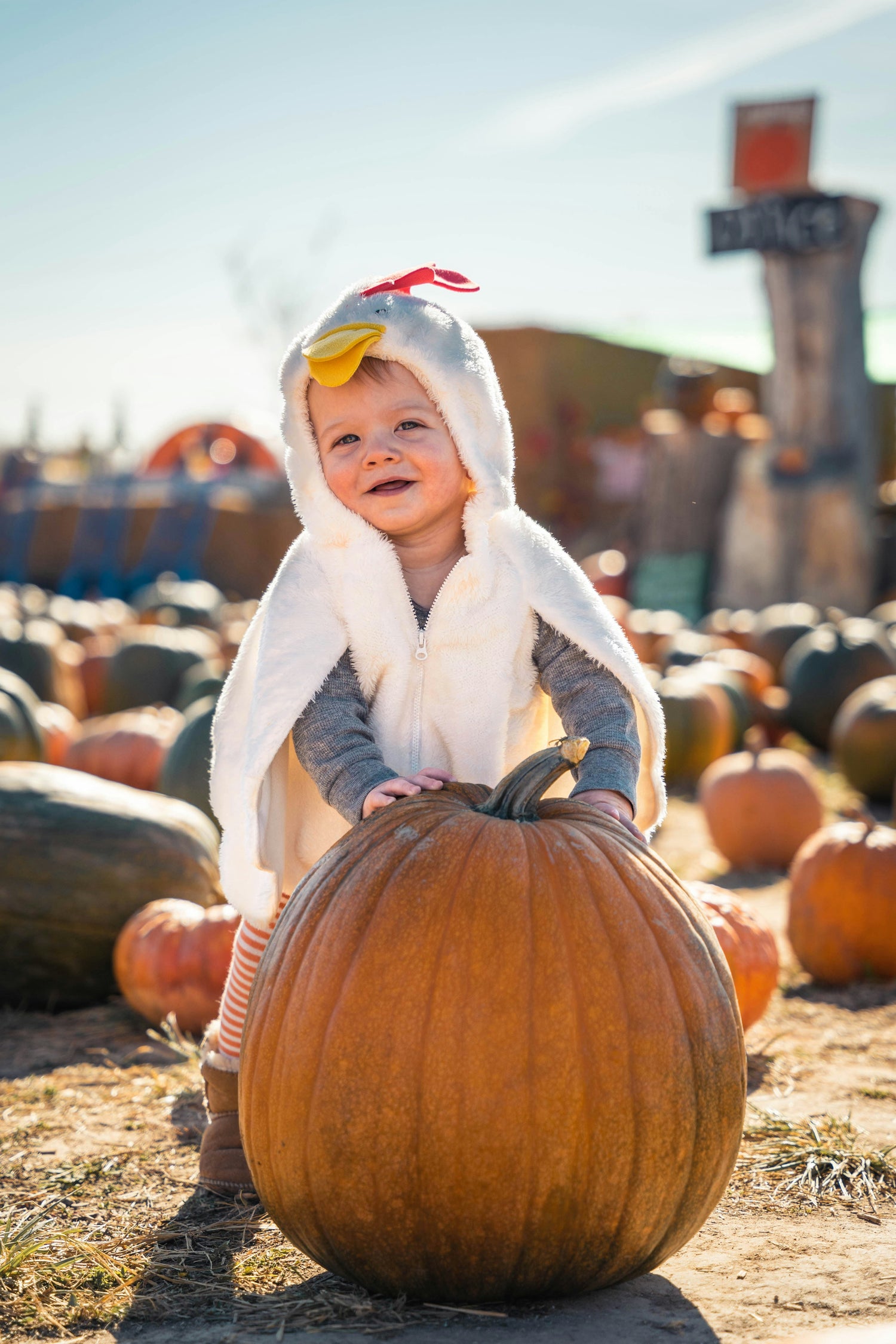 Baby Costumes